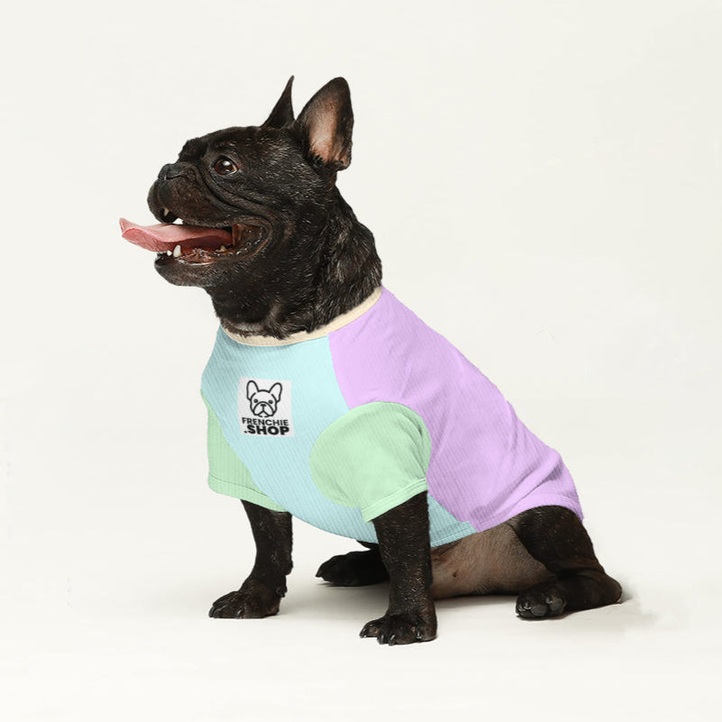 French Bulldog Lolli Wool Sweater For Frenchies Comfy Pet Outfit