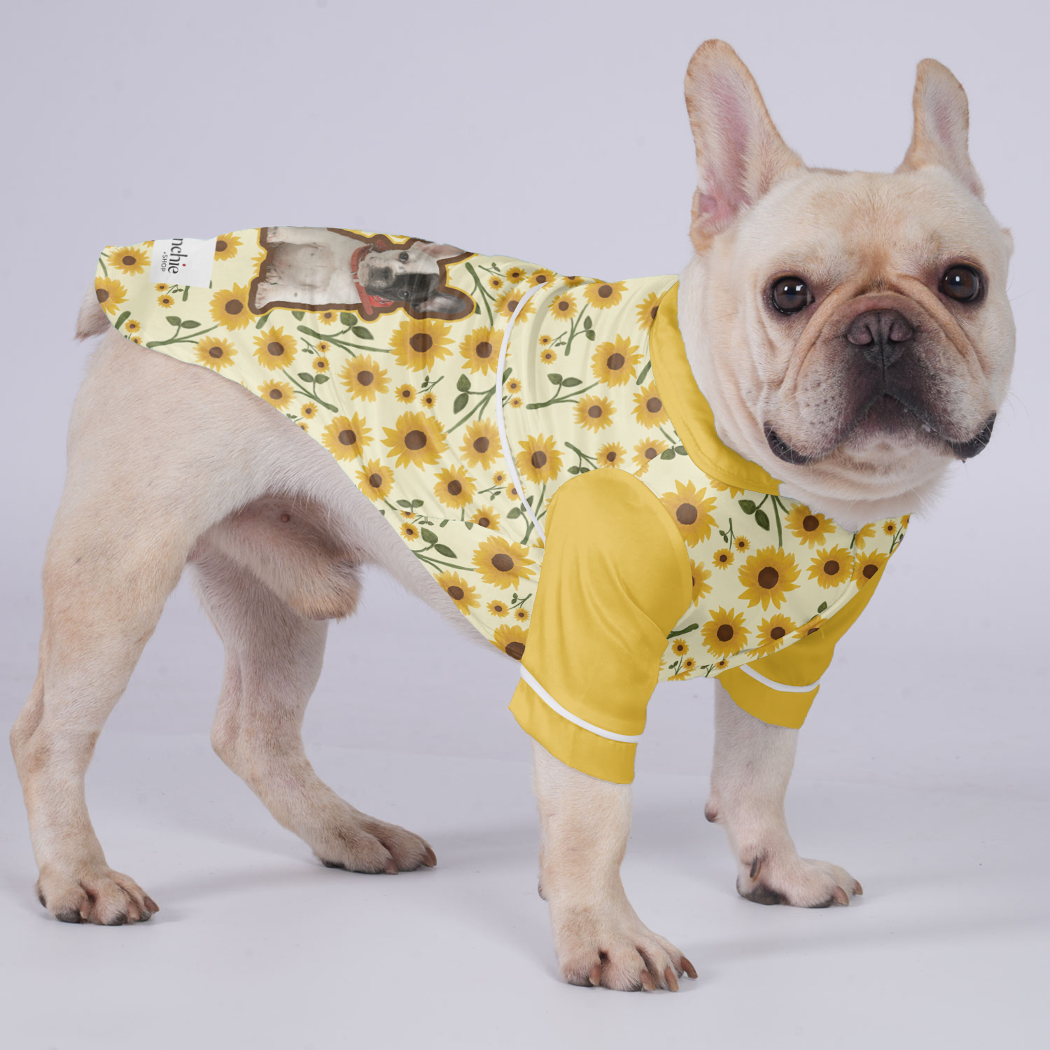 Bulldog Pajamas Customized With Your Frenchie's Picture Dog Supplies