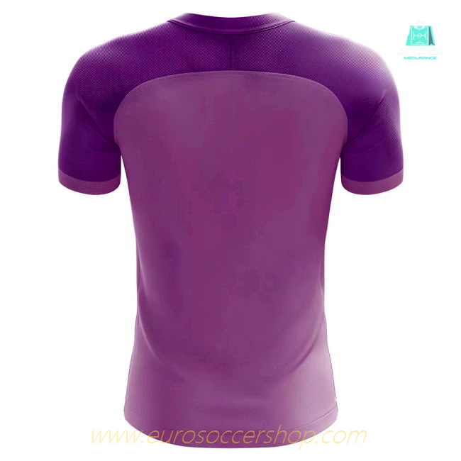 2025-26 Edition La Liga Third Shirt High Quality Concept