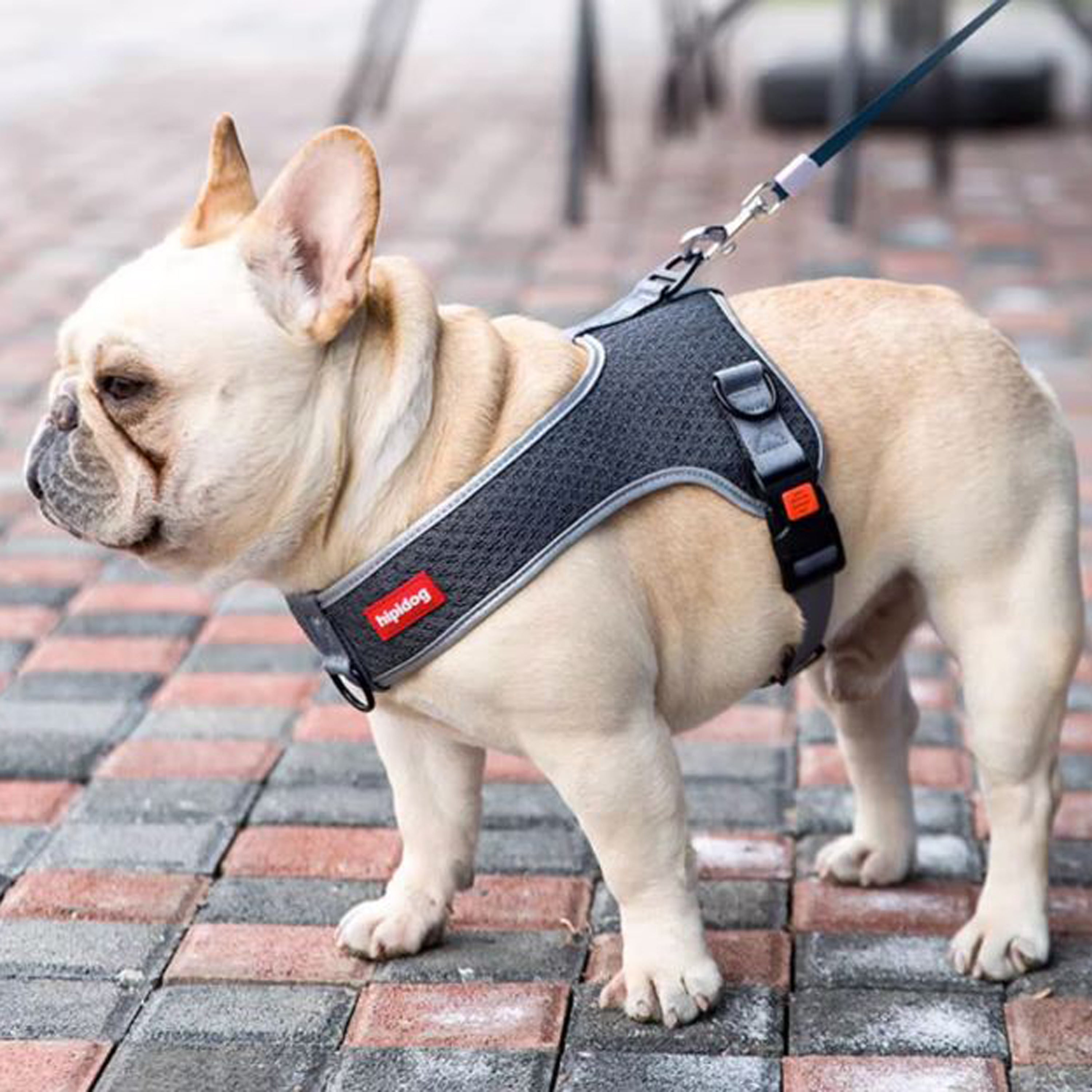 PawsMotion Premium French Bulldog Harness Vest with Leash Ultimate Walking Companion