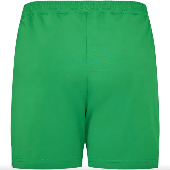 Ireland Away Shorts 2023-2024 edition (Youth