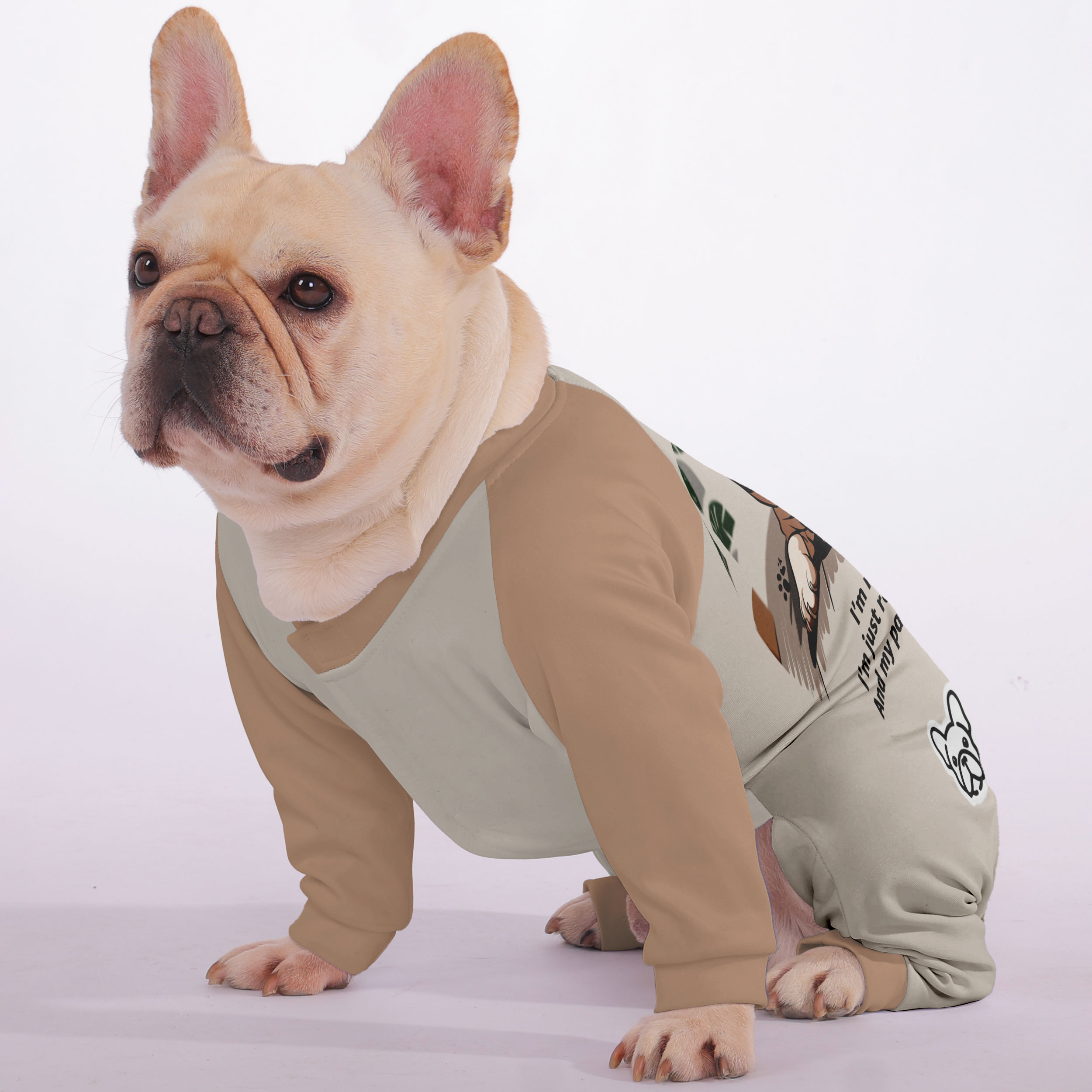 Im not sleeping, Im just resting my eyes... and my paws... and my tail... - Frenchie Pajamas – Ultra-Soft, Cozy, & Adorably Stylish