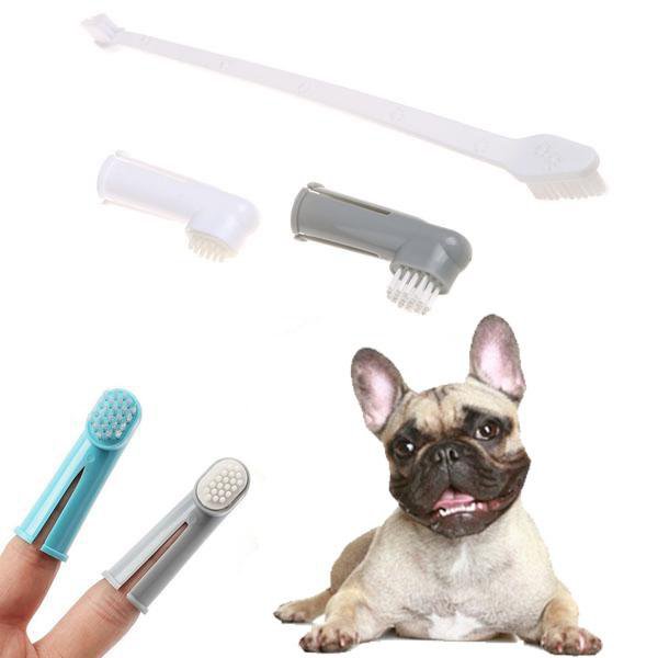 Toothbrush - Comfortable For Frenchie (ws59) For French Bulldogs