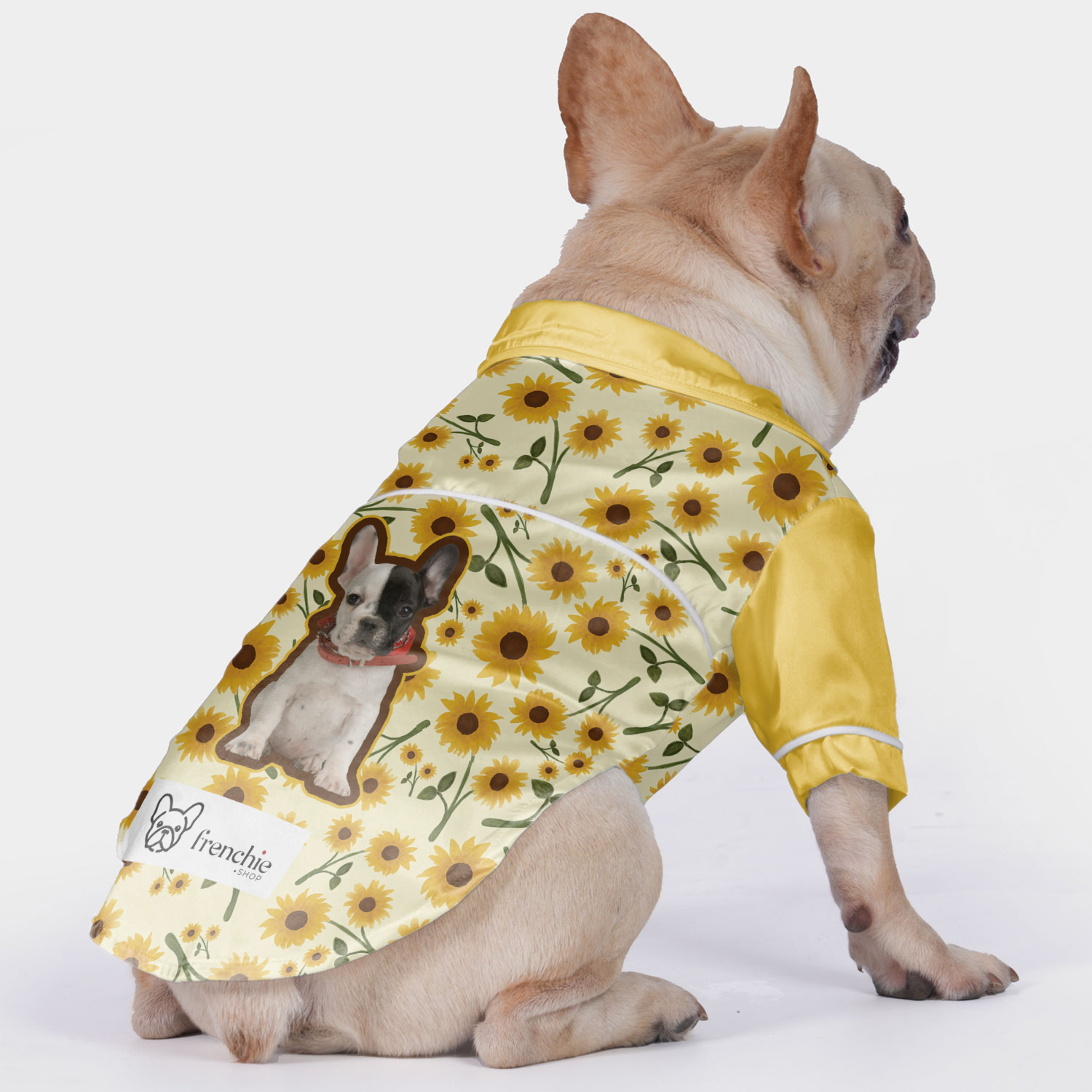 Bulldog Pajamas Customized With Your Frenchie's Picture Dog Supplies