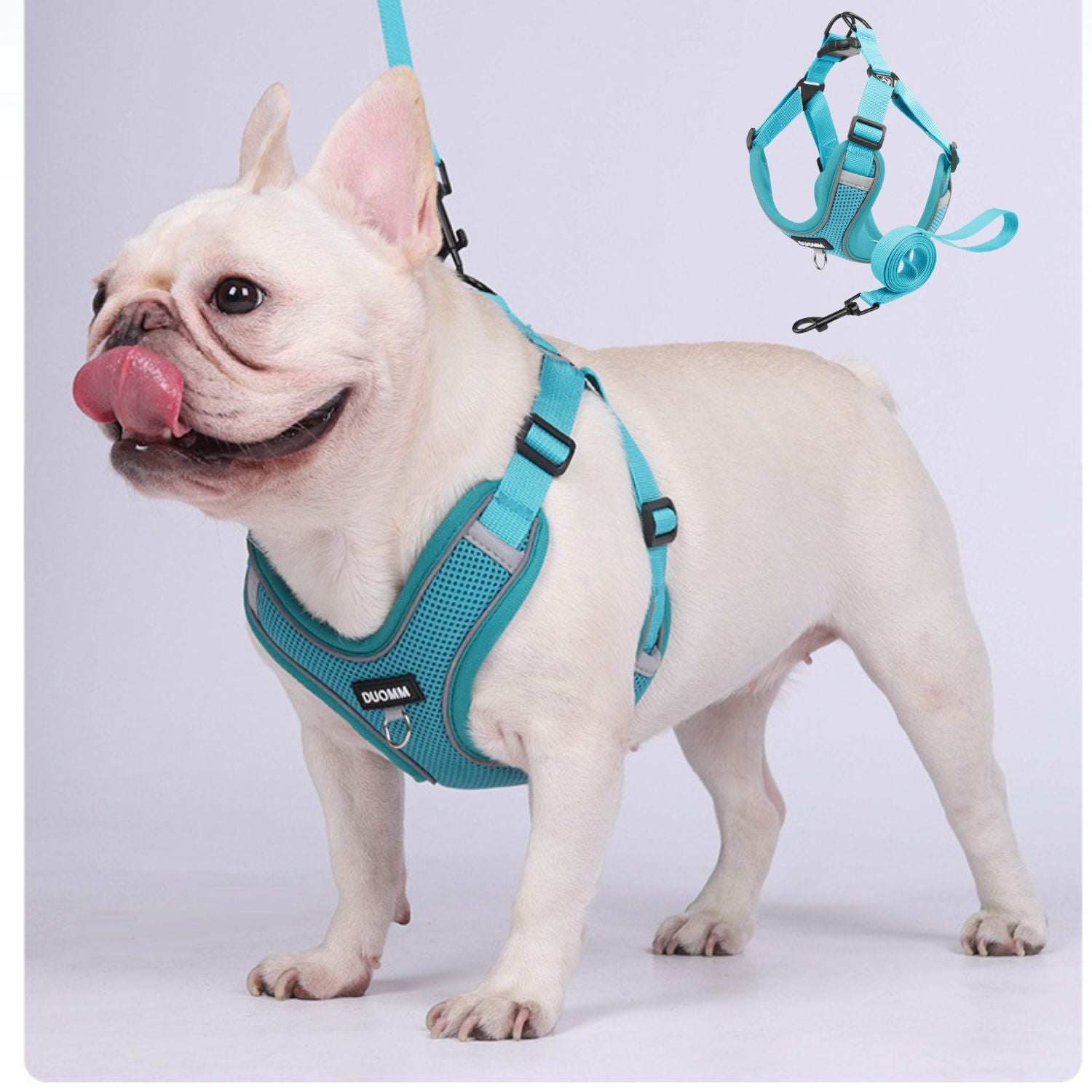 Pressure-Balanced Glowva No Pull Explosion-proof Frenchie Harness for...