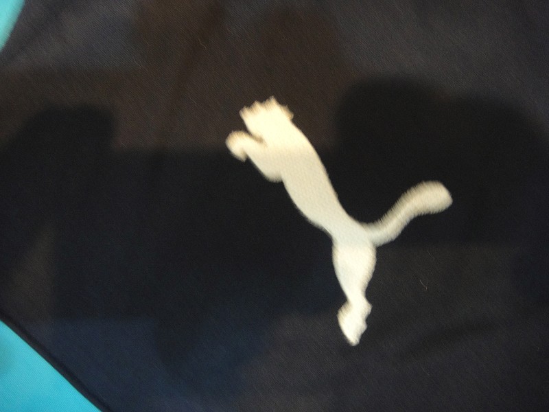 13-14 Newcastle United Goalkeeper Blue Soccer Jersey Shirt - Official