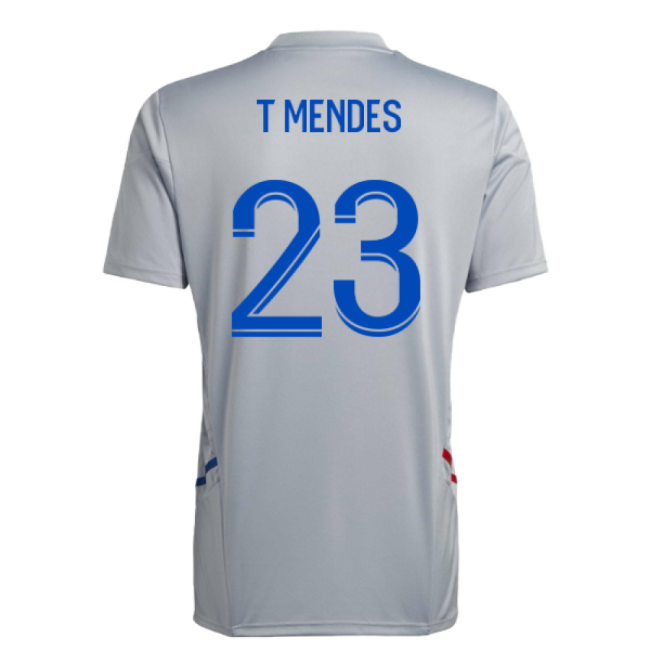 Professional 2022-2023 Lyon Training With Modern Design - Captain