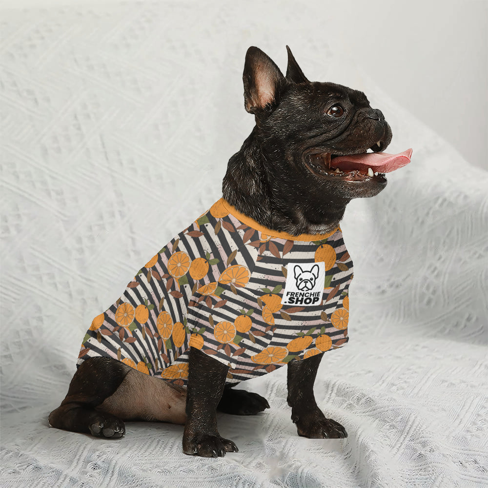French Bulldog Marco Wool Sweater For Frenchies Warm Cold Weather Gear