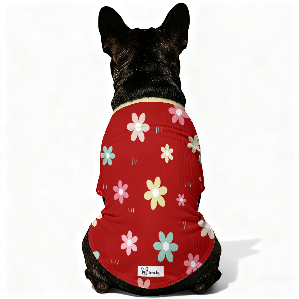 Fashion-Forward Como - Wool Sweater For Frenchies for Street Style