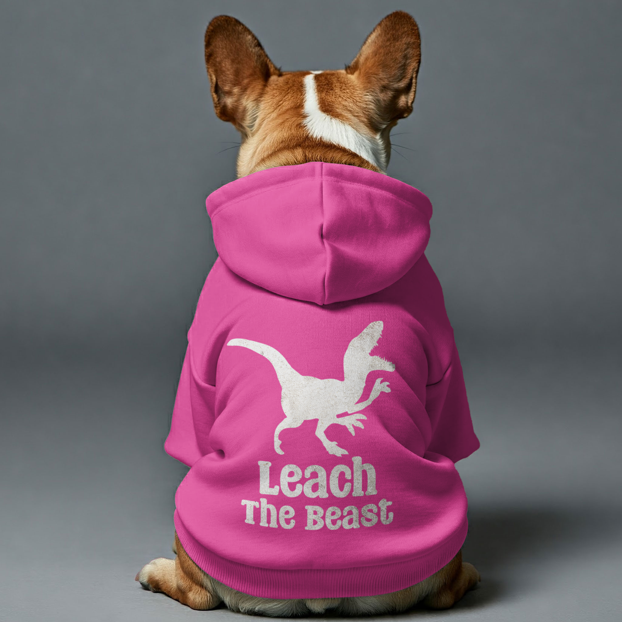 Leach The Beast - Casual Personalized French Bulldog Hoodies With Funny Quotes – Stylish, Cozy, And Premium 100% Cotton Outdoor Style