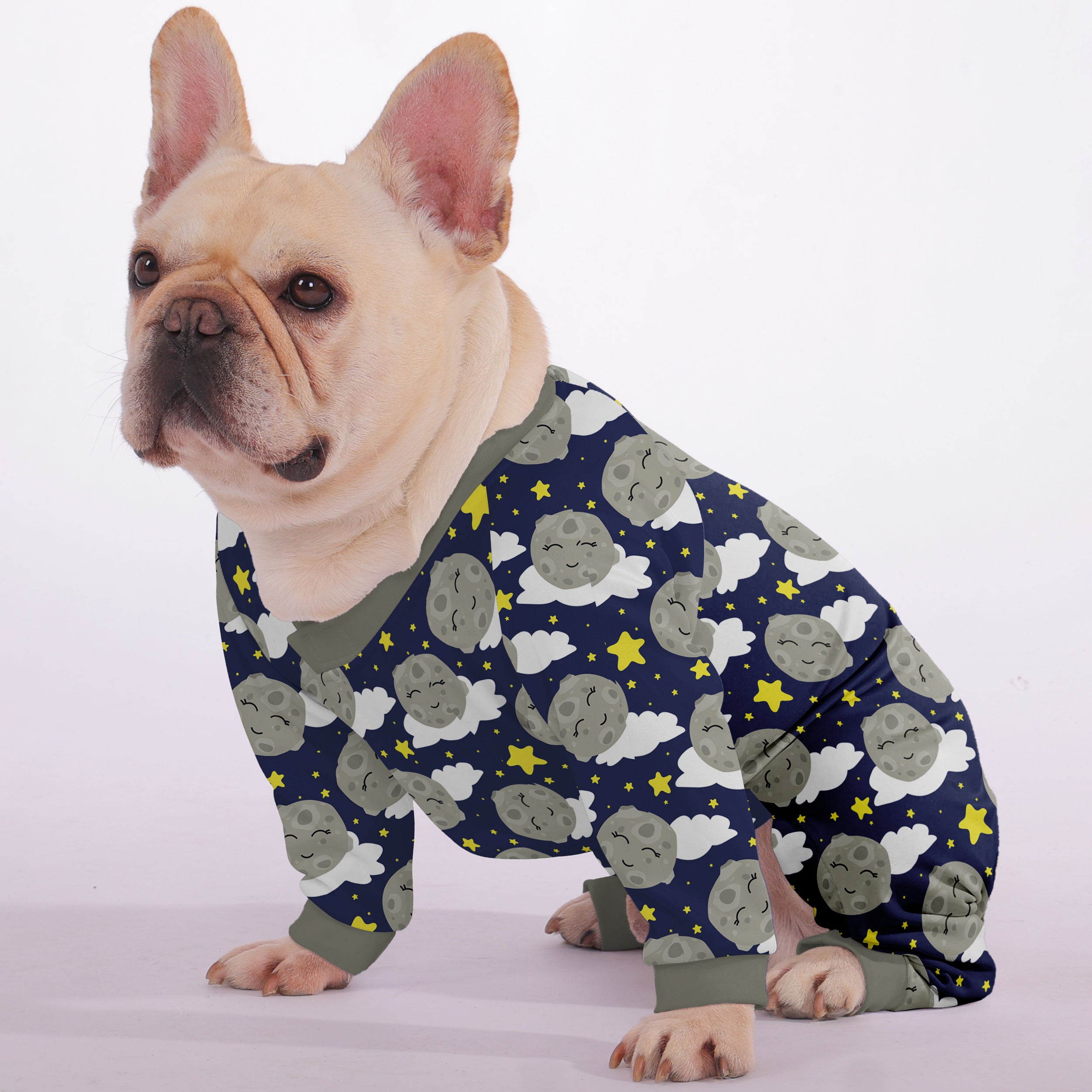 French Bulldog Finn Frenchie Pajama Useful Frenchie Gear