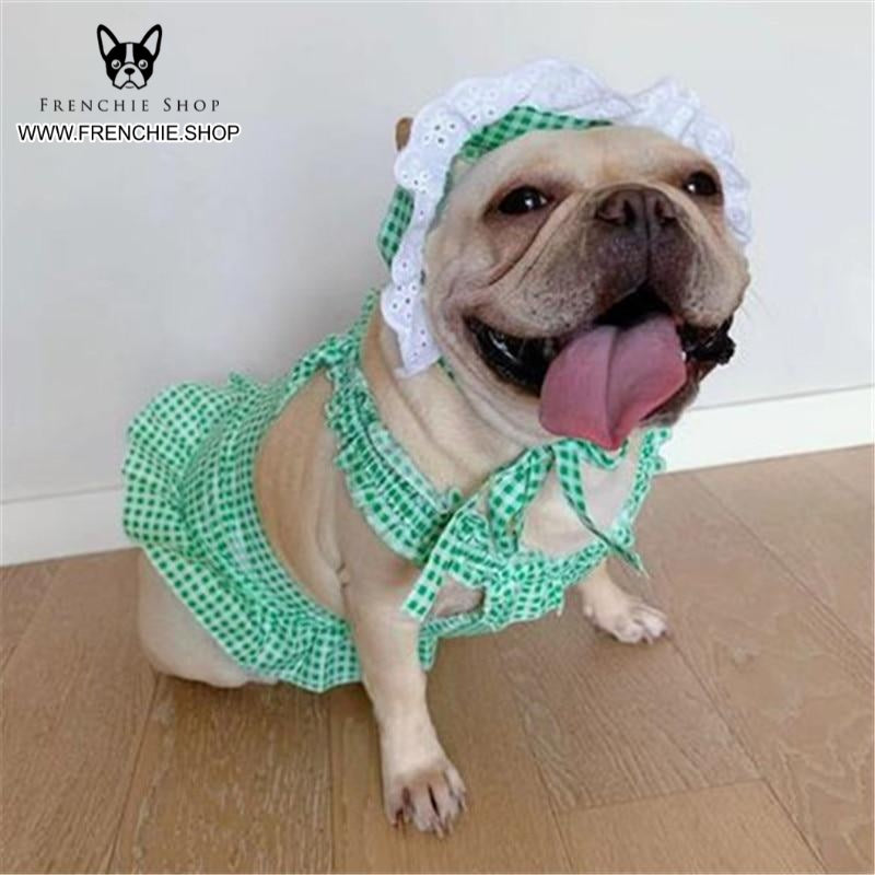 Bulldog Frenchie Summer Outfit Elegent Pet Dress (w311) Dog Supplies