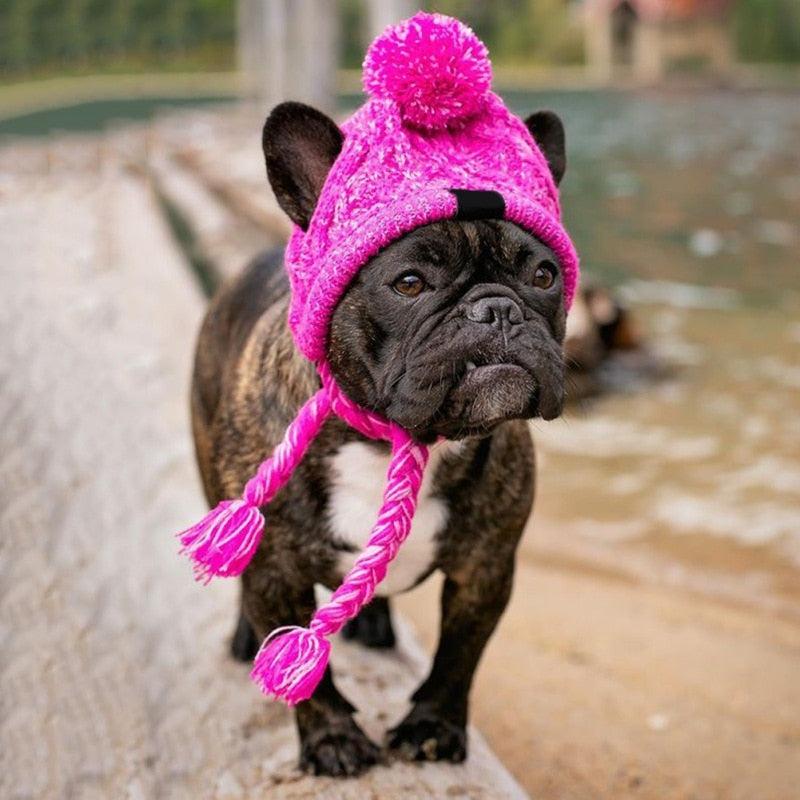 Culture-Inspired Winter Knitted Hat For French Bulldog - Best Frenchi...