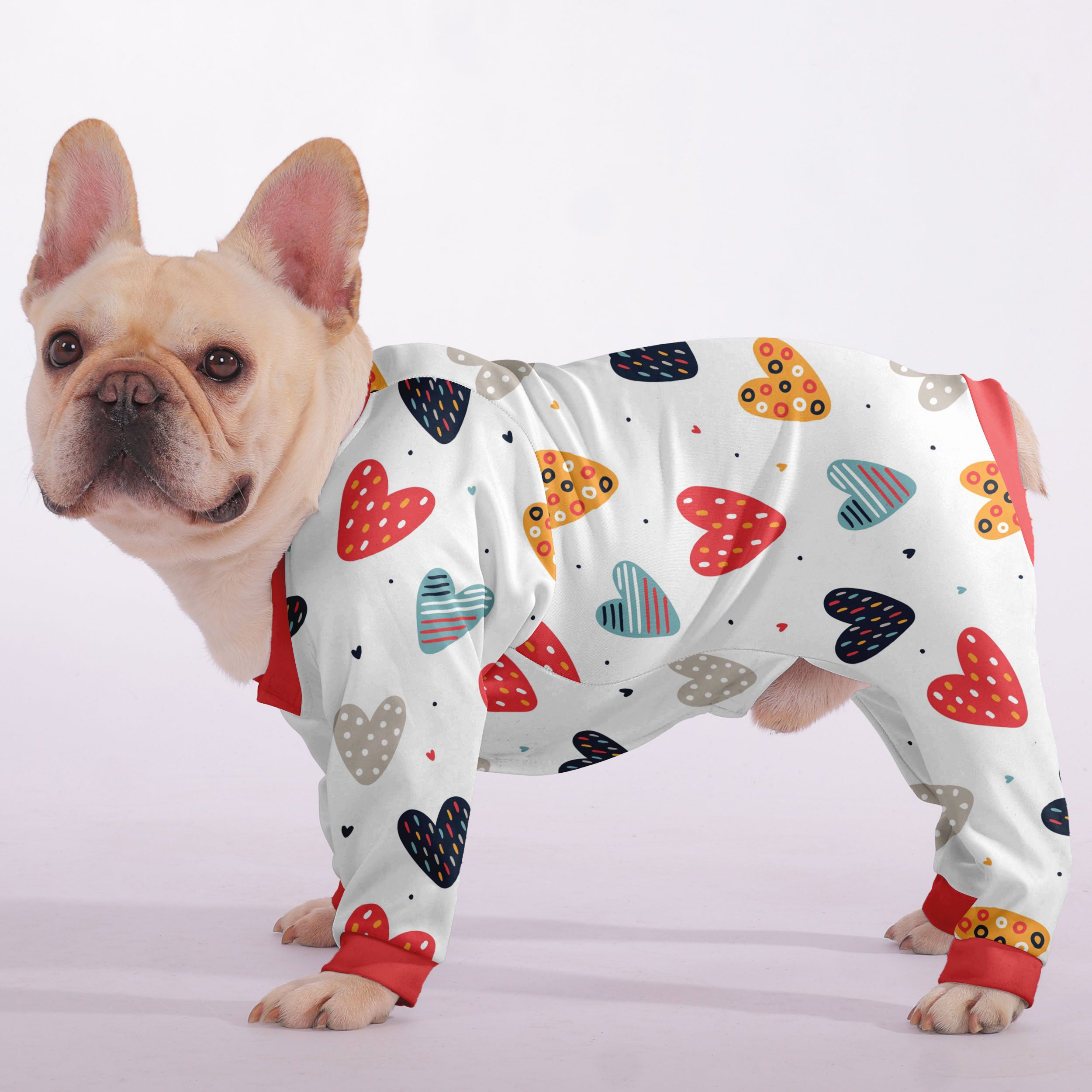 High-Quality Stylish Luke - Frenchie Pajama for Fashion Lovers Premium