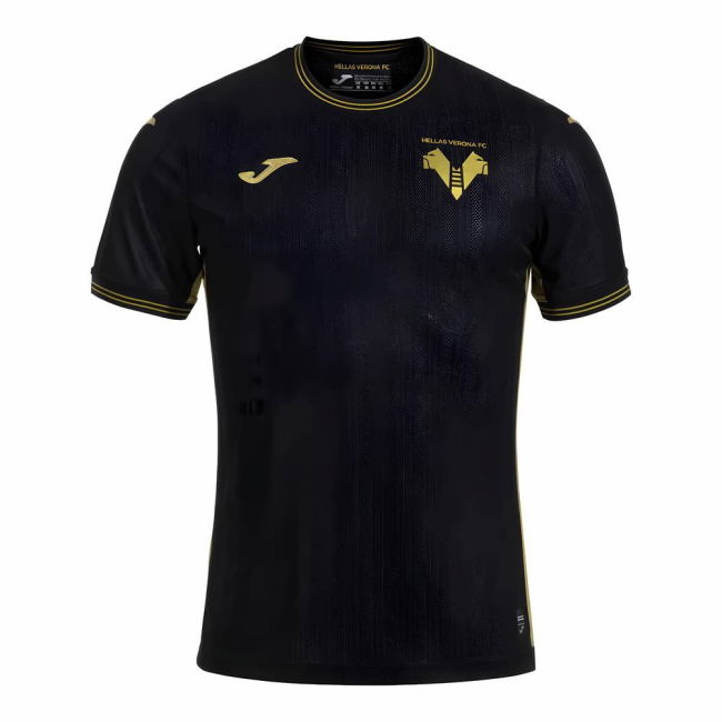 Hellas Verona Club Contemporary Third Team Kit