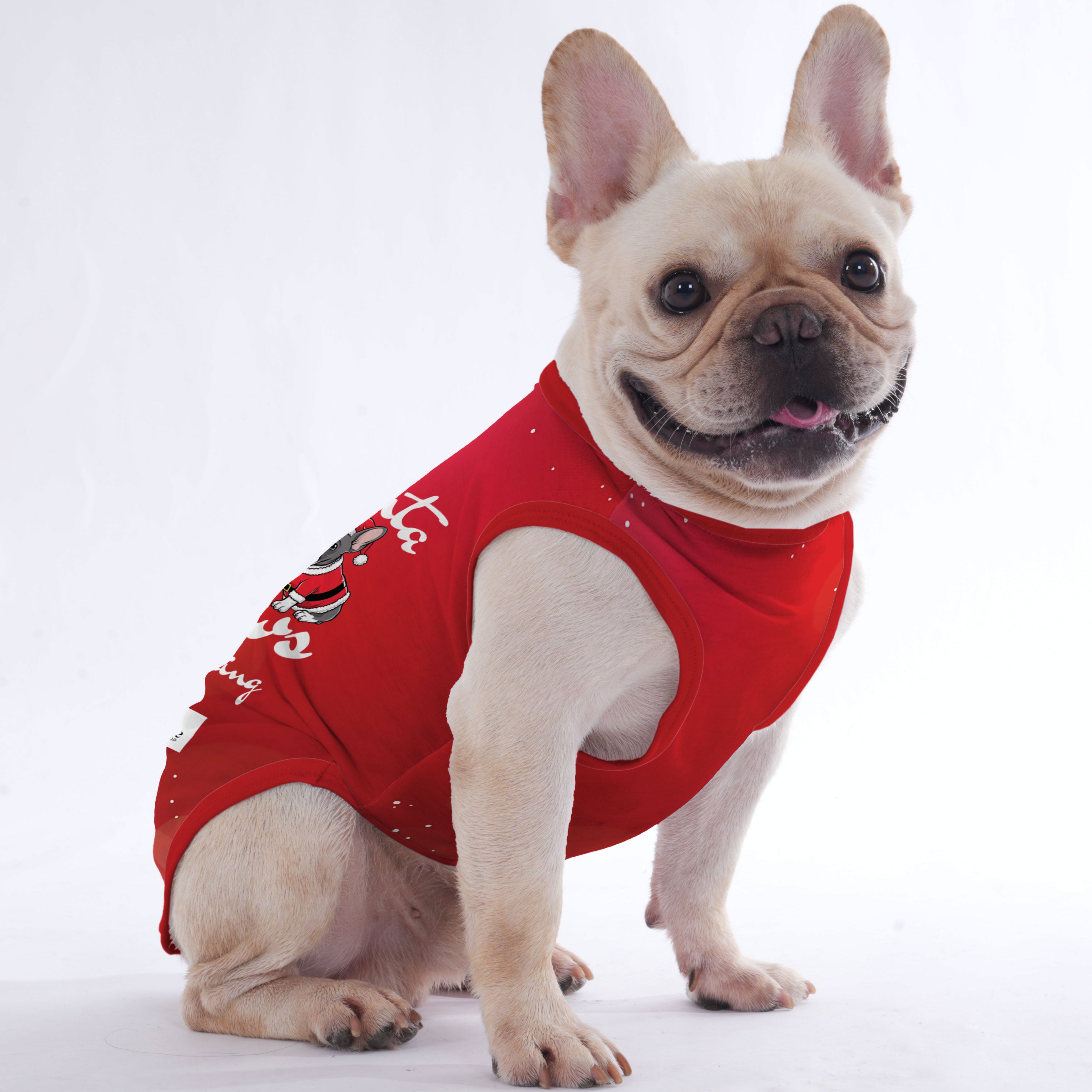 Cozy Rachelle - Shirt For Frenchies - Frenchie Shop Original for Street