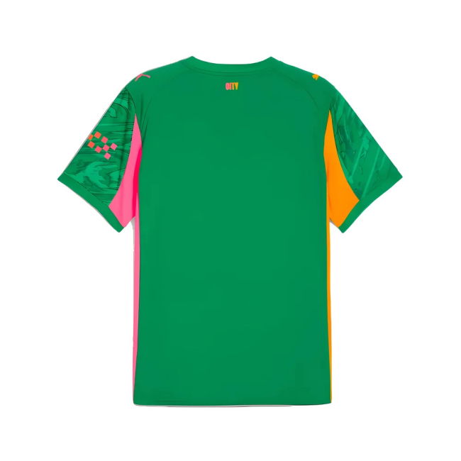 Classic Jersey 2025-2026 Away Stretchable - Affordable Green Adul#828