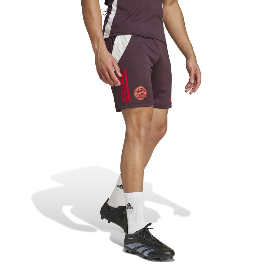 Bayern München Training Shorts Tiro 24 Shadow Maroon/red