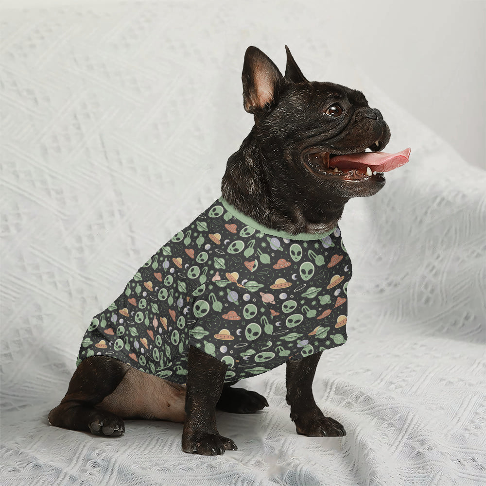 - Stylish Wool Sweater For Frenchies For Frenchie Fans | Premium Quality