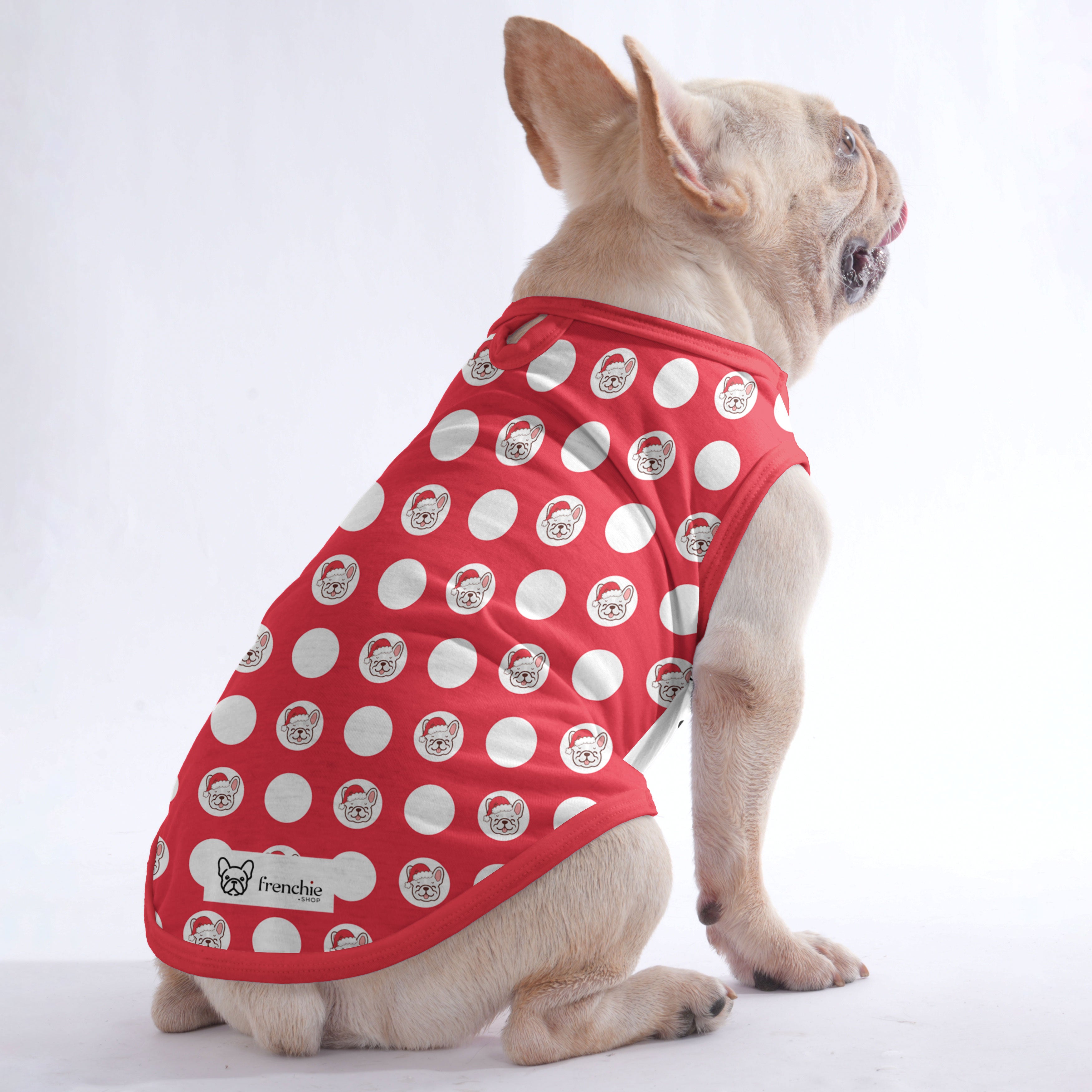 Comfortable Papillon - Shirt For Frenchies - Frenchie Shop Original as a