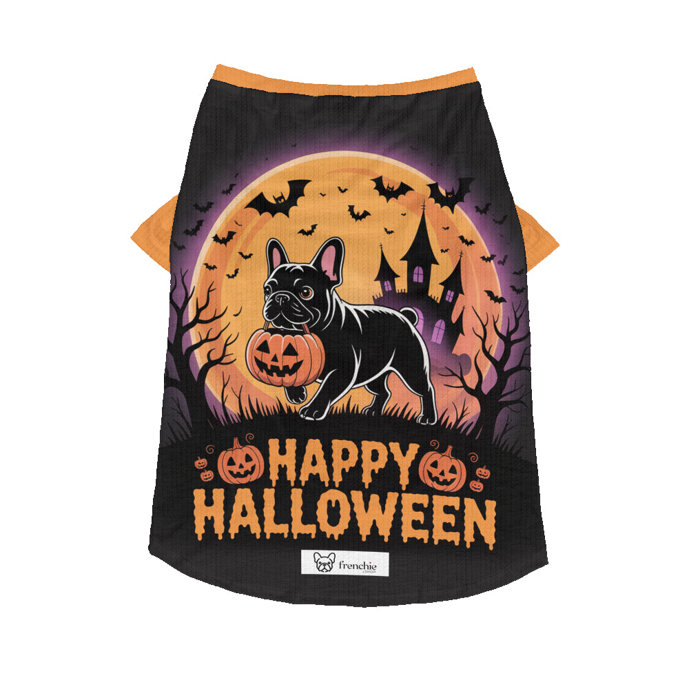 Lifestyle-Driven Sheila - Wool Sweater For Frenchies for Everyday Wear