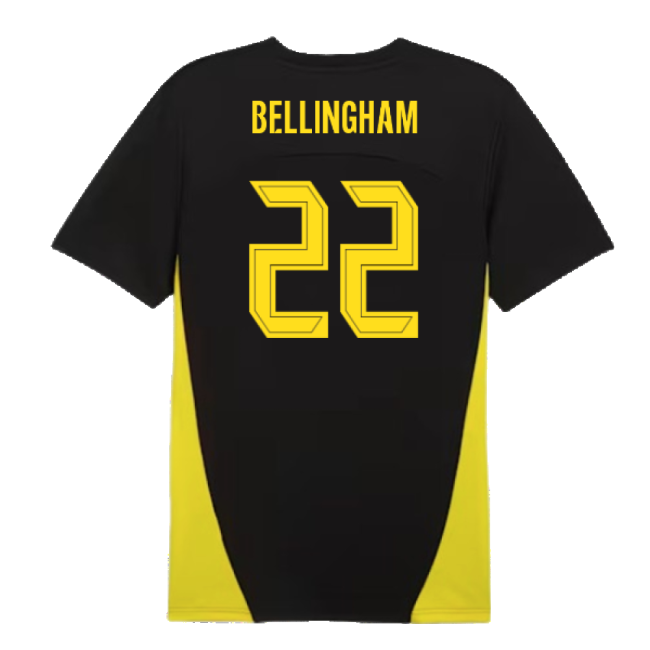 Borussia Dortmund Limited Training Collector Jersey (1)
