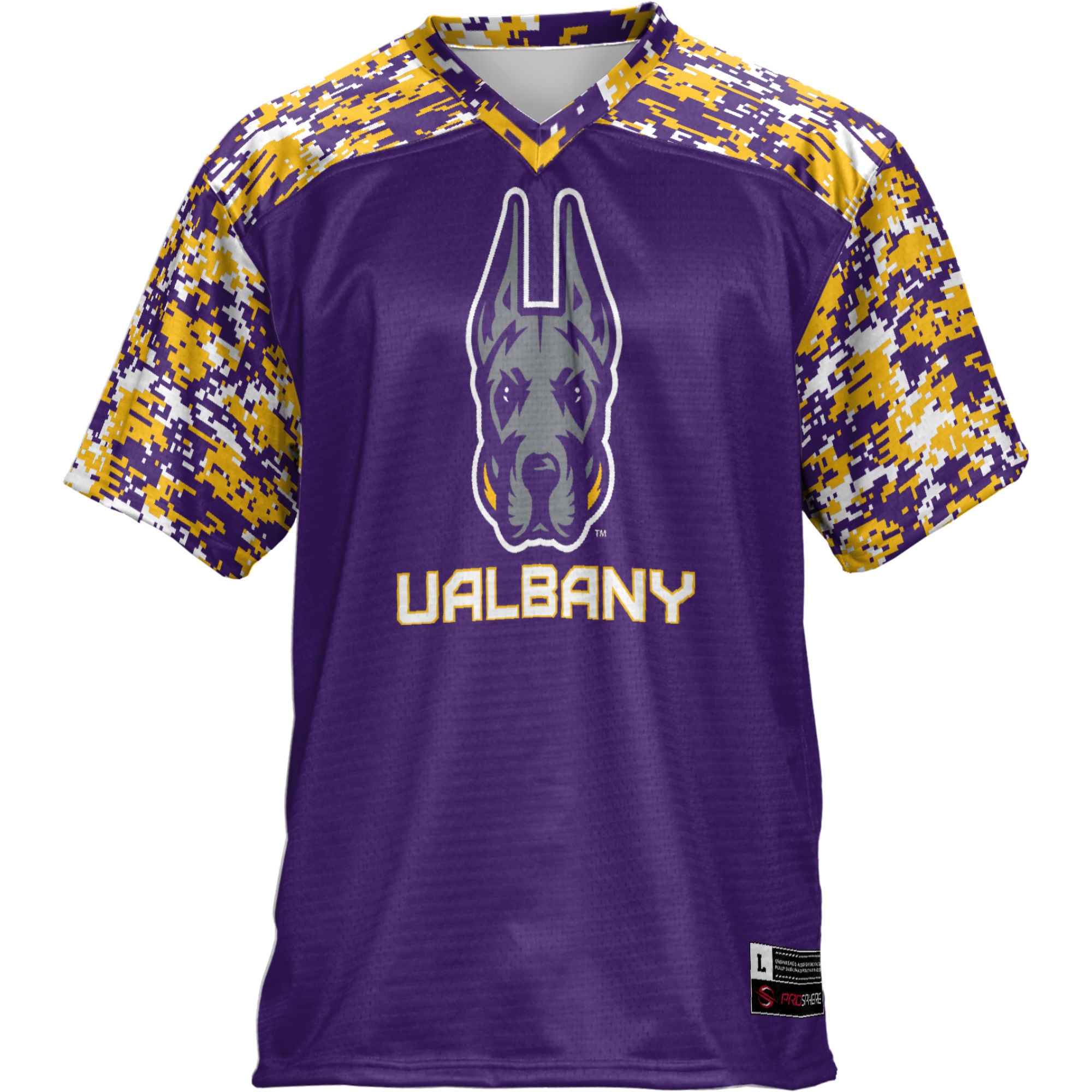 [DDG] UAlbany Great Danes GameDay Greats Youth Football Jersey - Purple
