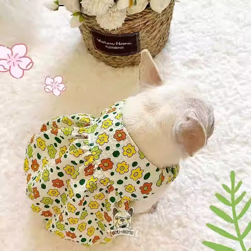 Frenchie Summer Dress – Lightweight Floral Pumpkin Skirt Winter Wear