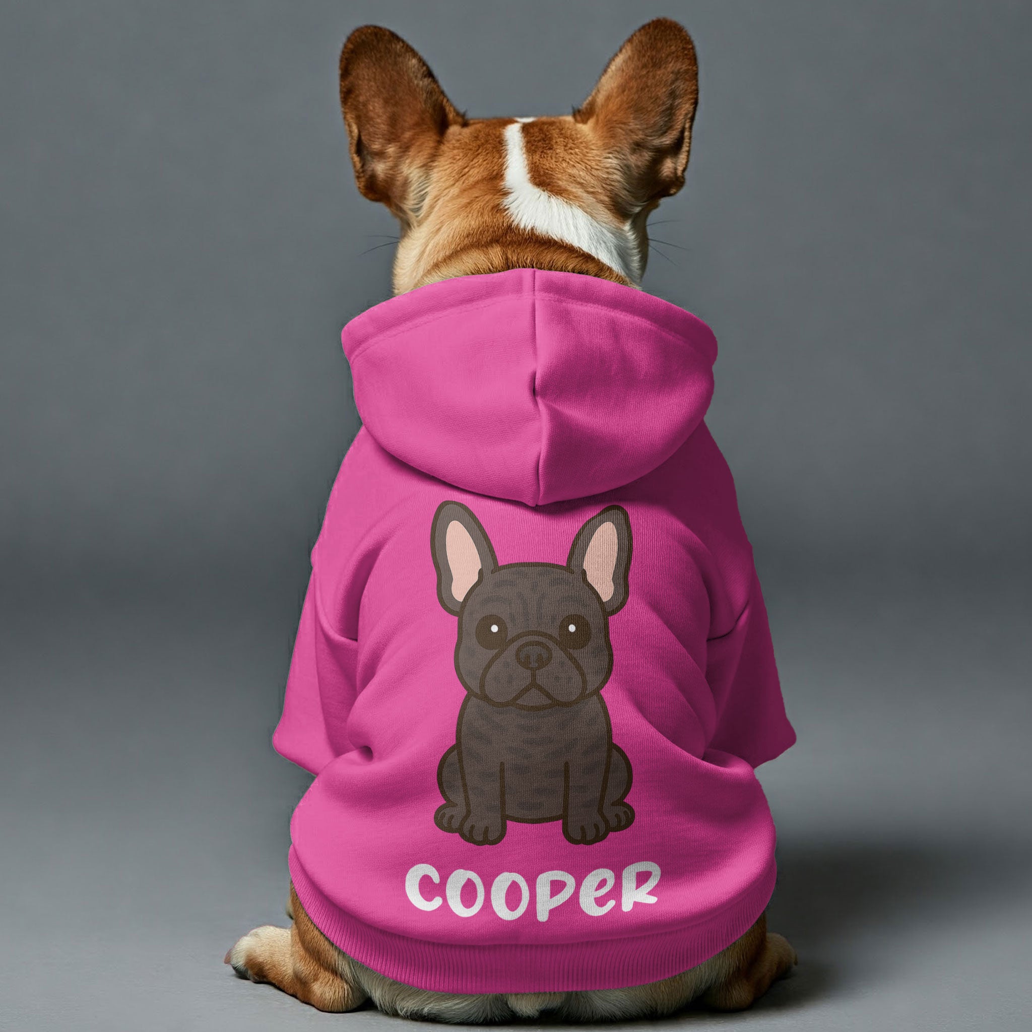 IVY - Personalized French Bulldog hoodies with funny quotes, custom name, and custom clipart matching your Frenchie's color – Stylish, Cozy, and Premium 100% Cotton