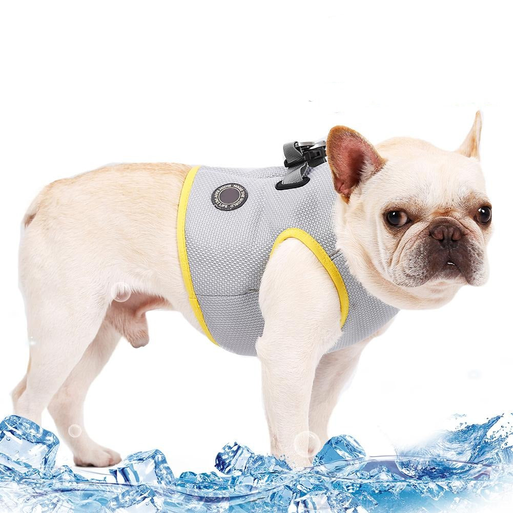 Coolify : Cooling Harness (CS21)