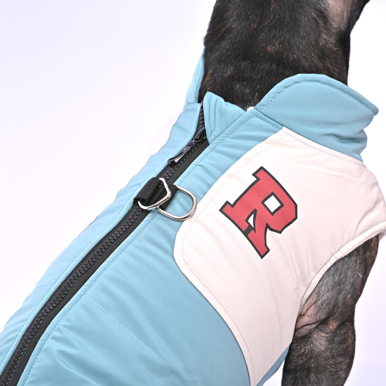 Secure-Fit Frostbite Outfit - Frenchie Winter Jacket With Harness Set...