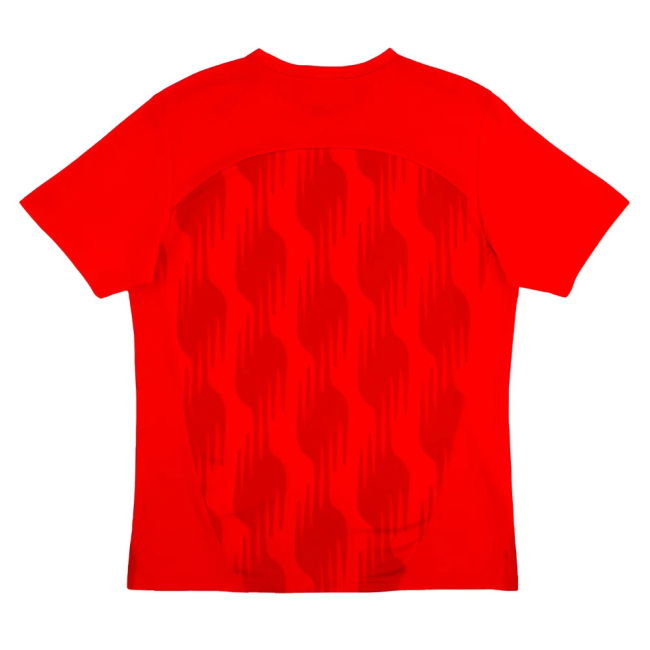 Lens Special Edition Jersey 2024-2025