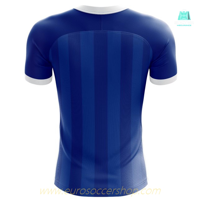 2025-2026 Season Hero Shirts Home Premium Concept (PICKFORD 1)