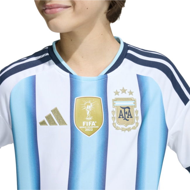 Professional Grade Supporter Sports Institution 2025-2026 Campaign ...