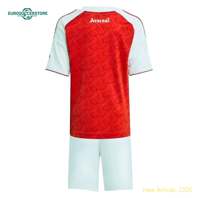 Durable Arsenal Mini Jersey Bergkamp 2025-2026 Machine-washable