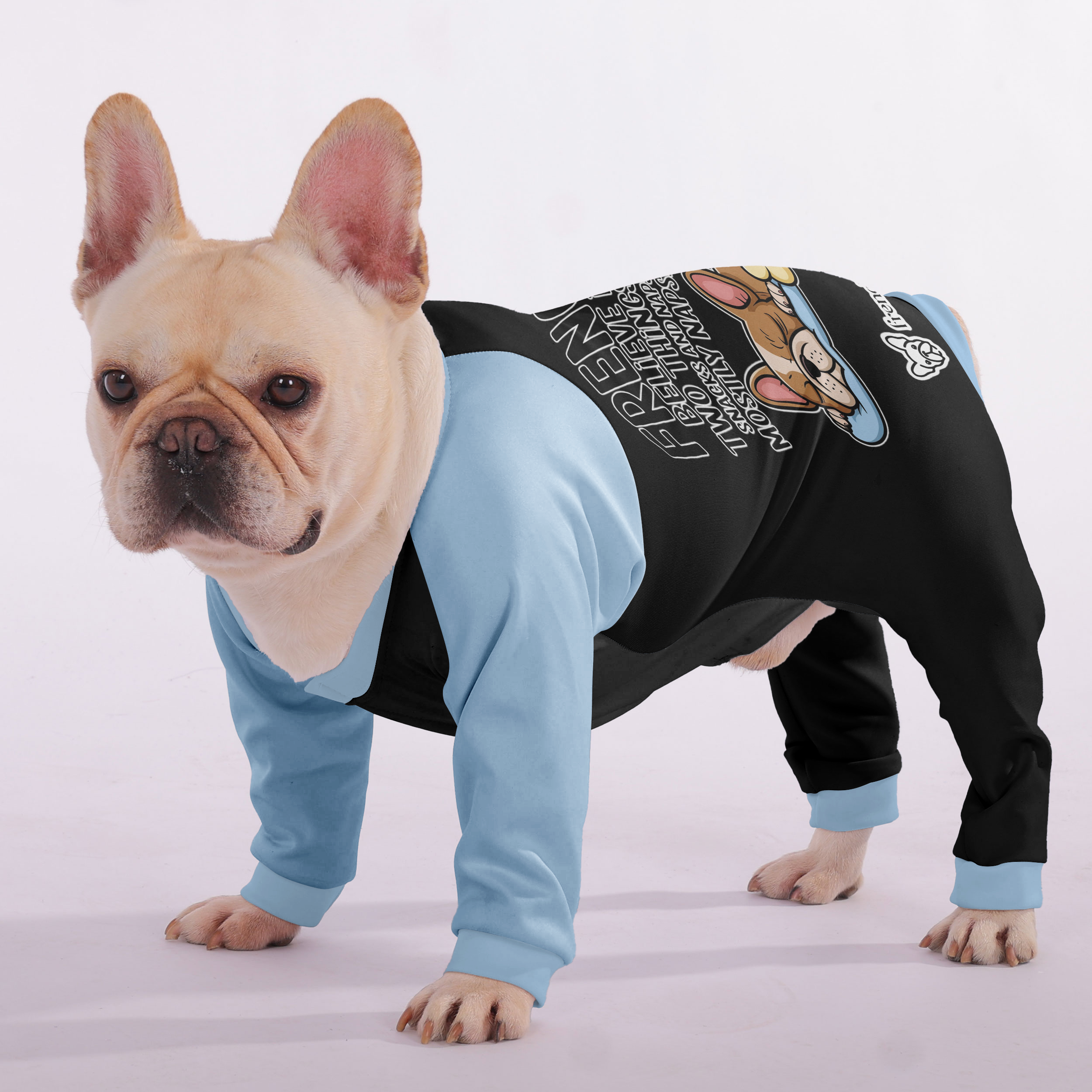 Cozy, & Adorably Stylish For French Bulldogs | Vet-recommended