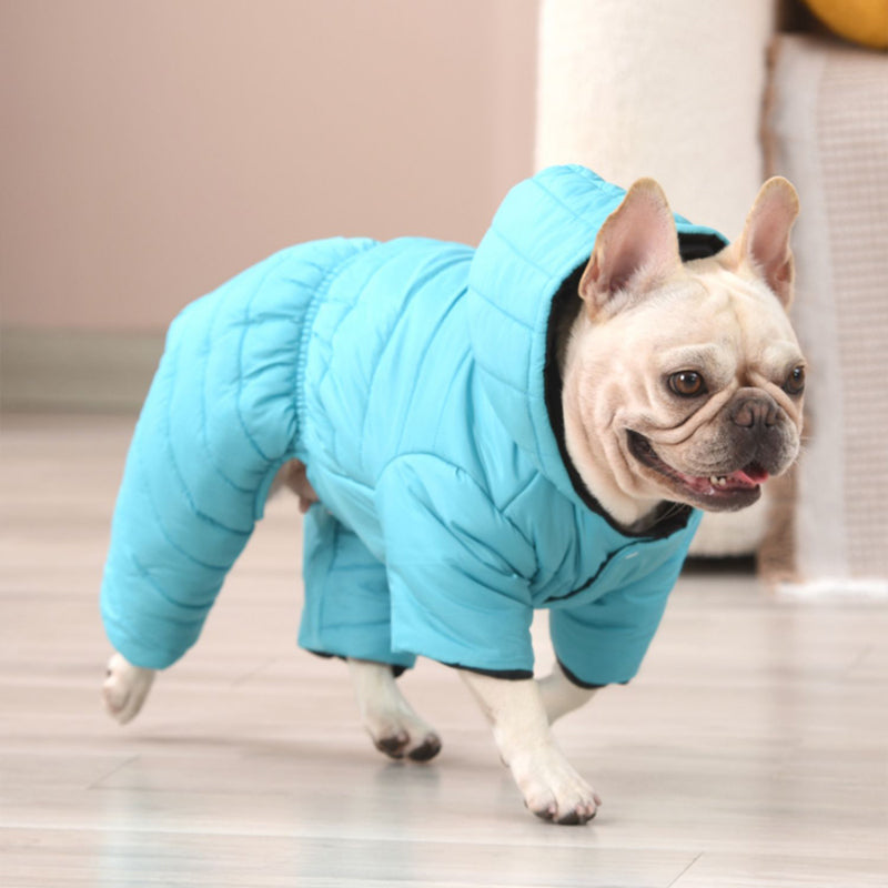 Snow Coat For French Bulldogs Winter Essential For Frenchie Pups