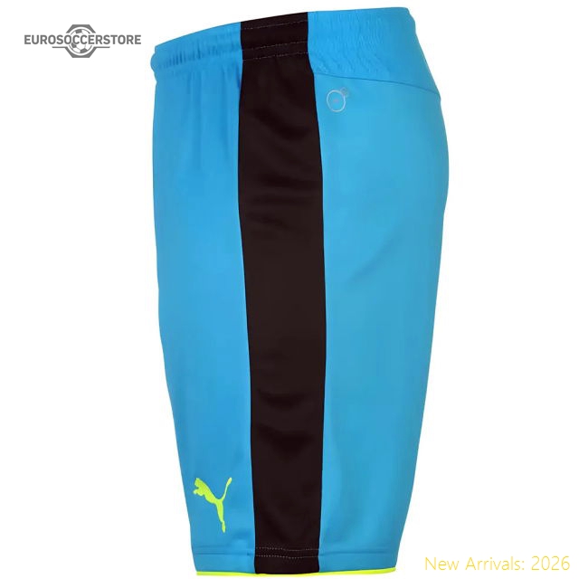 2016-2017 Arsenal Away Goalkeeper Shorts (Kids)