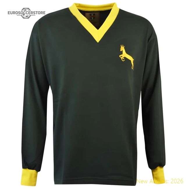 South Africa 20242025 Regular Highperformance Shirt Classic