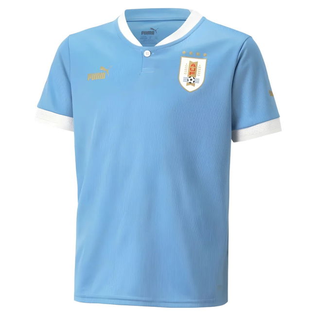 Pro Style Uruguay Home Player Jersey 2022-2023 (Nunez 11)