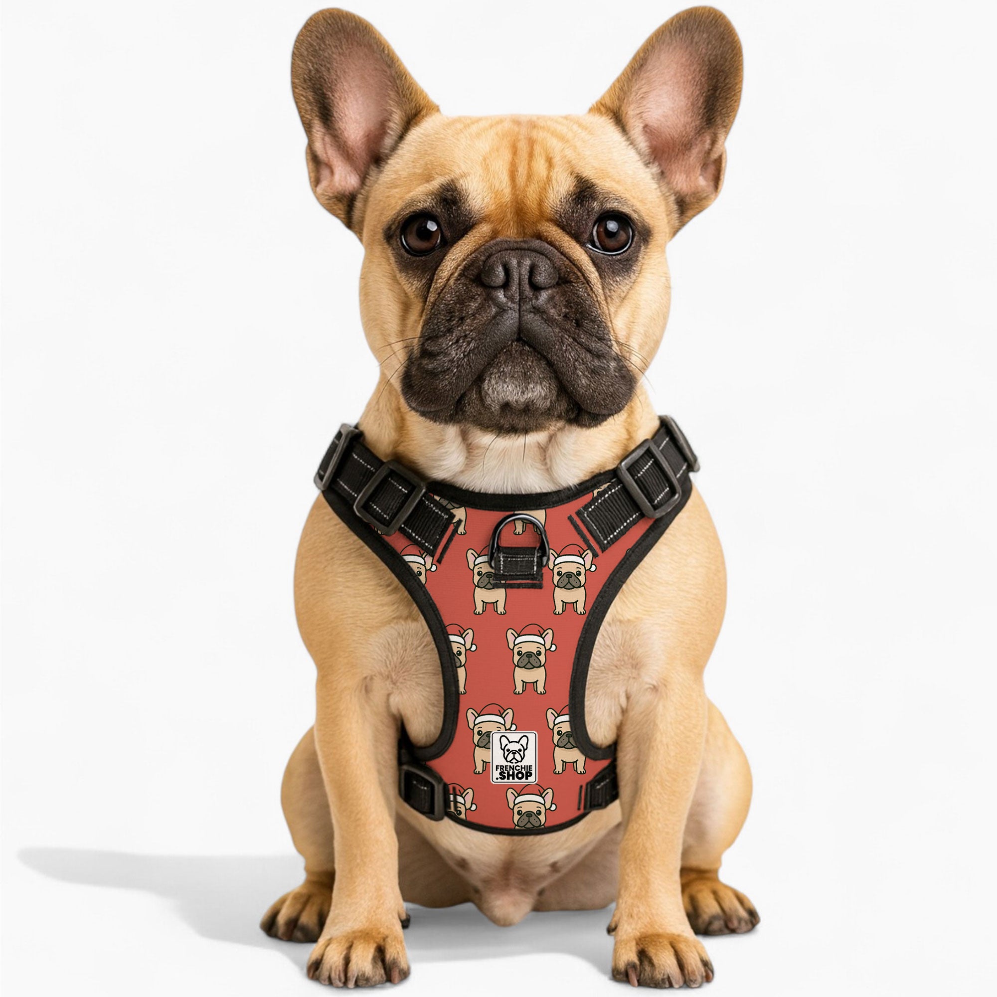 Maggie - No-Pull French Bulldog Dog Harness