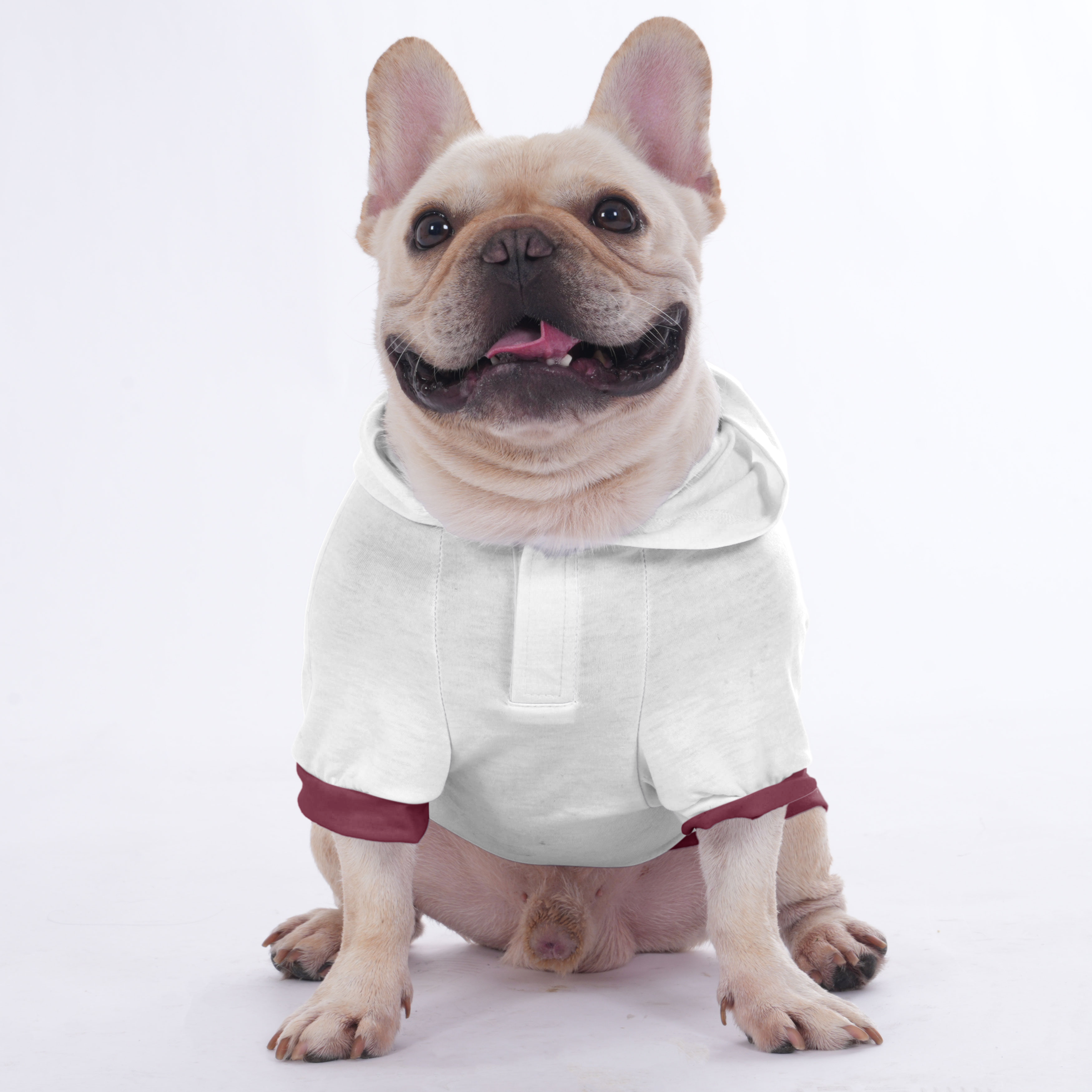 Marley - Hoodies for French Bulldog | Frenchie Shop Original