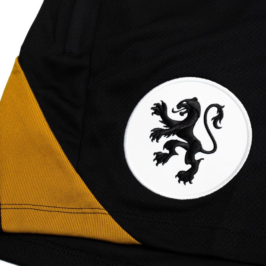 Holland Training Shorts Dri Fit Strike Women's Euro 2025 Jet Black/gol