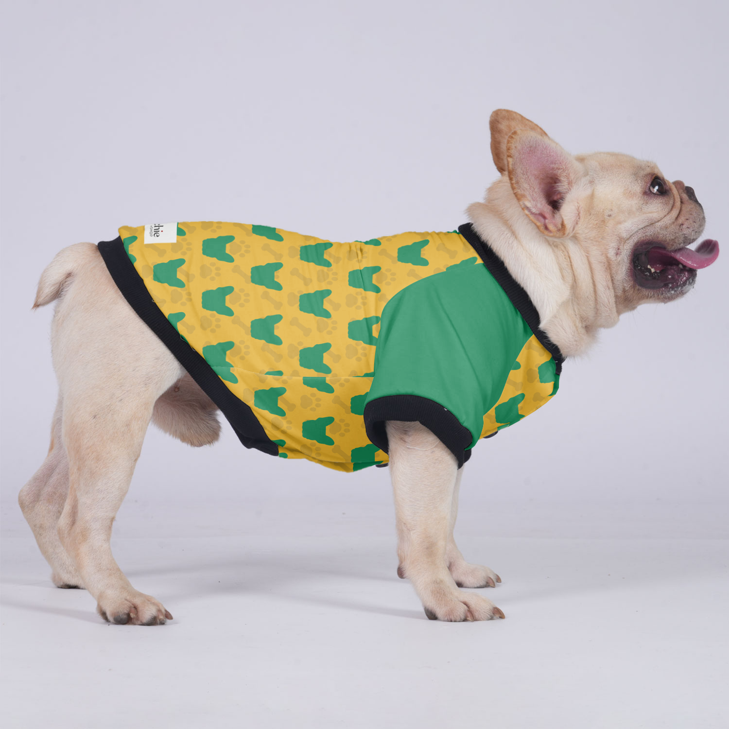 Brooklyn - Jacket for French bulldog