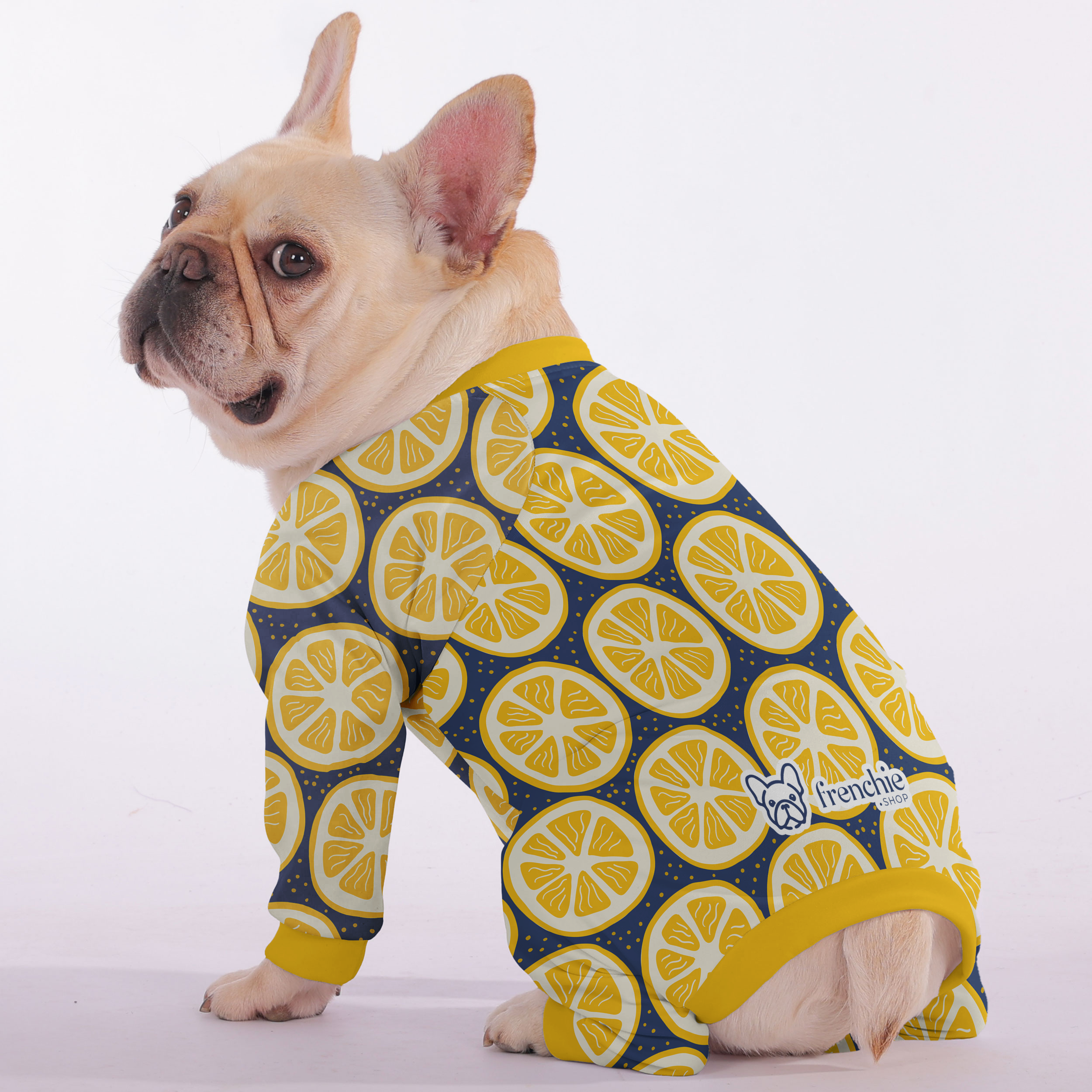 Tanya - Frenchie Pajamas – Ultra-Soft, Cozy, & Adorably Stylish