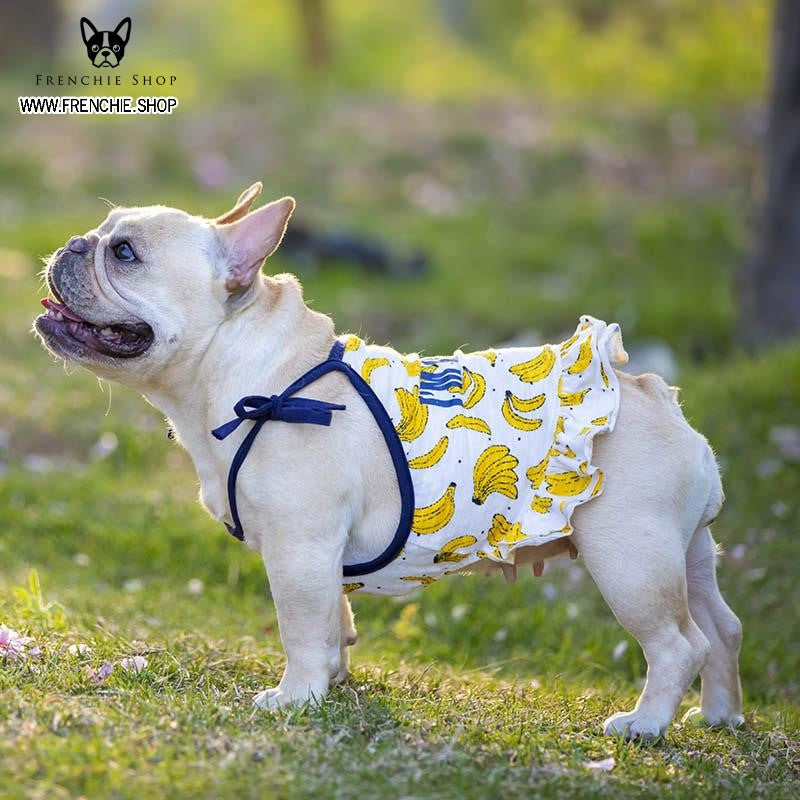 Pet-Lover Fruit Print Frenchie Summer Dress (w322) for Fashion Lovers