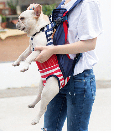 Frenchie Backpack V4 (WS24)