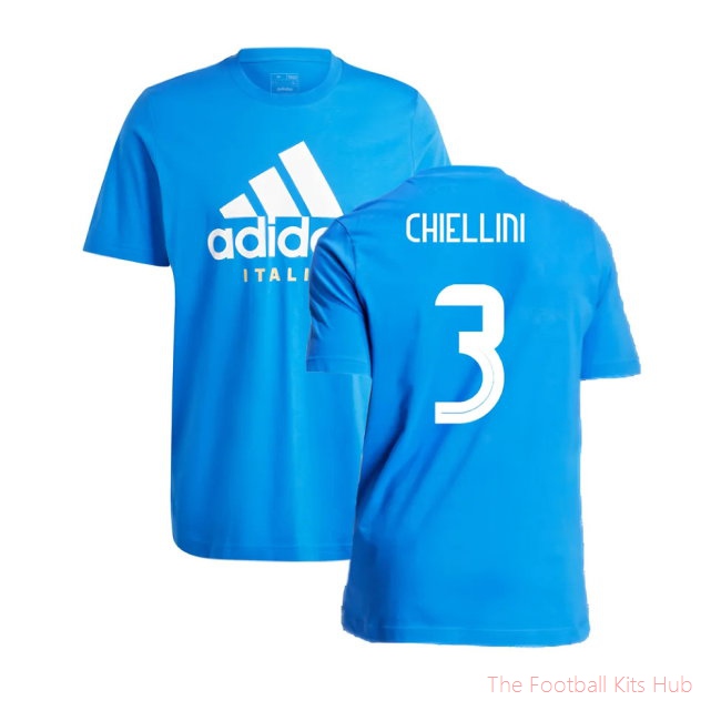 2024-2025 Italy DNA Graphic Tee (Blue) (CHIELLINI 3)