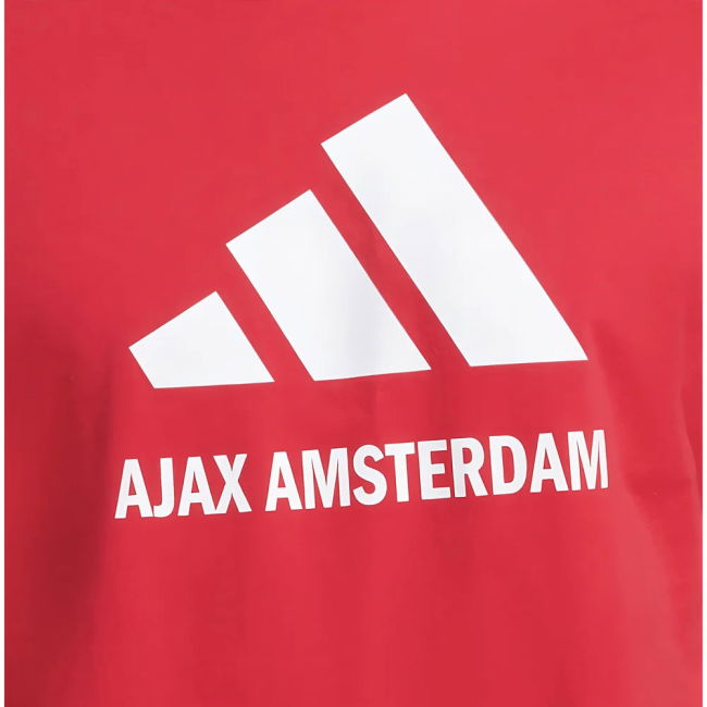 Authentic Team Tee D. Berbatov #9 2025-2026 Season Modern (v10)