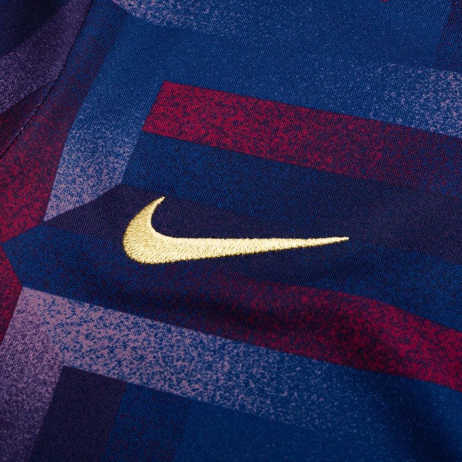 England Training T Shirt Dri Fit Academy Pro Pre Match Purple Ink/sesa